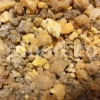 Bulk Ferula Persica Gum for sale. Sagapenum in bulk. Ferula persica resin wholesale price. Sagapenum purchase.