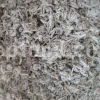 Felty germander wholesale. Buy Germander. Teucrium polium for sale. Bulk teucrium polium tea.