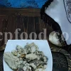 Raw gum ammoniac resin from Dorema ammoniacum
