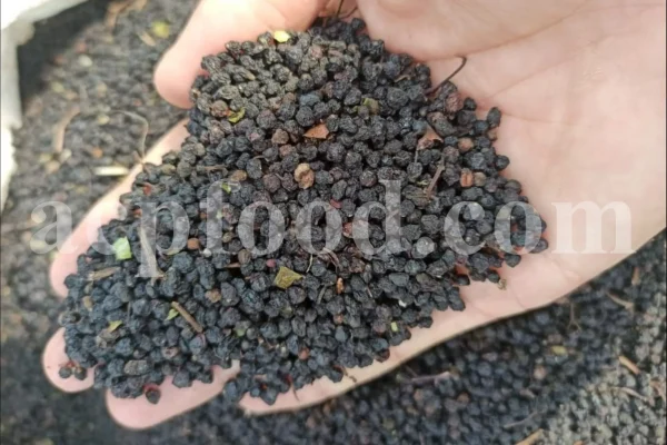 Elderberry for sale. Sambucus nigra for sale. Dried Elderberries for sale. Sambucus nigra Black Lace for sale. Dried Elderberries bulk. Dried Black Elderberries purchase. Buy Black Elderberry Sambucus nigra. European Black Elderberry wholesale price.