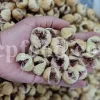 Close-up of dried fig texture – Ficus Carica