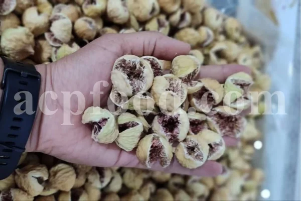 Close-up of dried fig texture – Ficus Carica