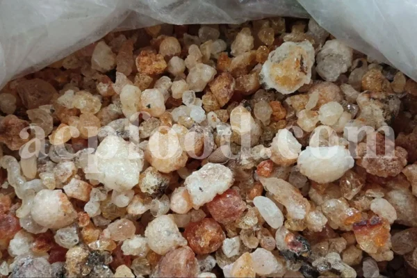 High Quality Bulk Persian Gum for sale. Gum Zedo wholesale price. Buy Zedo Gum. Cerasus avium gum for sale. Bulk Cerasus vulgaris gum. Cerasus mahleb gum wholesale price.