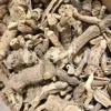Turpeth root for sale. Bulk Turbod. Buy Indian Jalap. Turbith wholesale price. Operculina turpethum root purchase. Nishoth root for sale.