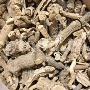 Turpeth root for sale. Bulk Turbod. Buy Indian Jalap. Turbith wholesale price. Operculina turpethum root purchase. Nishoth root for sale.