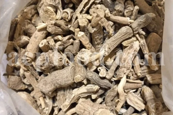 Turpeth root for sale. Bulk Turbod. Buy Indian Jalap. Turbith wholesale price. Operculina turpethum root purchase. Nishoth root for sale.