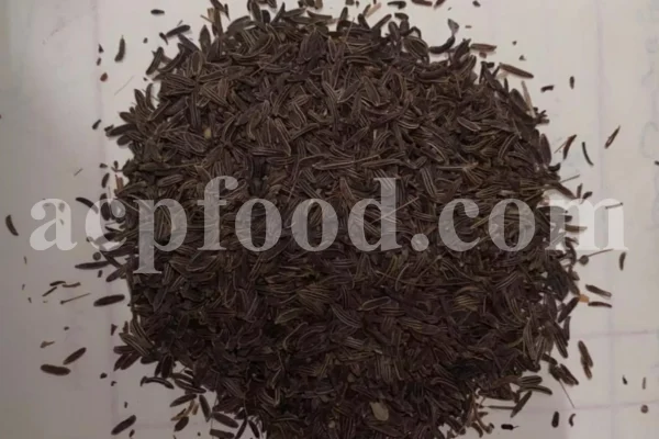 Lovage seeds for sale. Bulk levisticum officinale seeds. Buy lovage seeds. Lovage seeds near me. Bulk maggi plant seeds.