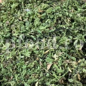 Dried Maidenhair Fern for sale. Adiantum capillus veneris dried leaves wholesale price. Buy Maiden Hair Fern dry leaves. Adiantum capillus veneris for sale. Bulk Maidenhair Fern adiantum capillus veneris.
