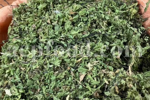Dried Maidenhair Fern for sale. Adiantum capillus veneris dried leaves wholesale price. Buy Maiden Hair Fern dry leaves. Adiantum capillus veneris for sale. Bulk Maidenhair Fern adiantum capillus veneris.