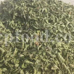 Dried Peppermint leaves for sale. Bulk peppermint leaves. Buy dried mint leaves. Peppermint tea leaves wholesale price. Organic peppermint tea loose leaf in bulk.