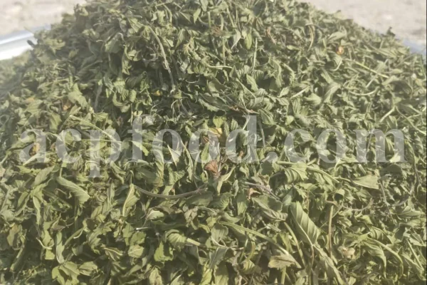 Dried Peppermint leaves for sale. Bulk peppermint leaves. Buy dried mint leaves. Peppermint tea leaves wholesale price. Organic peppermint tea loose leaf in bulk.