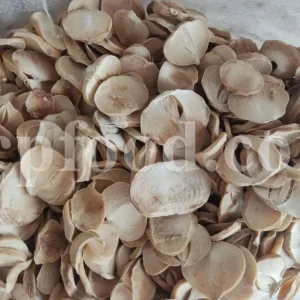 High Quality Persian Shallot (Allium stipitatum) for Sale. Buy dried minced Shallots. Mousir wholesale price. Persian shallot buy.