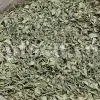 Persian Zizizphora for sale. Bulk Ziziphora tenuior dried leaves. Buy Persian Ziziphora. Ziziphora tenuior dried leaves wholesale price.