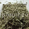 Shirazi Thyme for sale. Shirazi thyme wholesale price. Bulk Shirazi thyme. Shirazi thyme purchase. Zataria multiflora dried leaf in bulk. Z multiflora dried leaves wholesale price. Z multiflora dried leaves purchase. Buy zataria multiflora dried leaves.