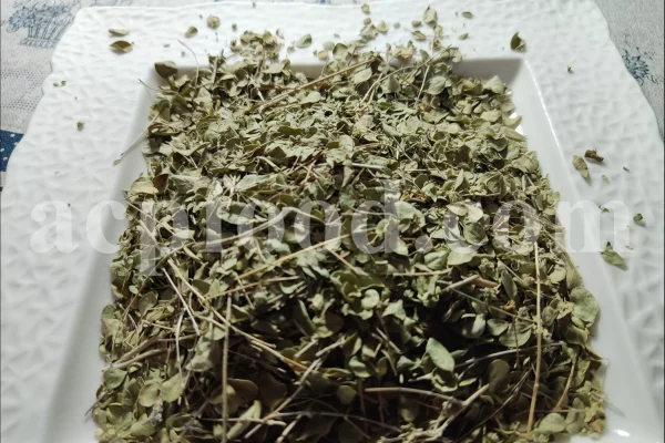 Shirazi Thyme for sale. Shirazi thyme wholesale price. Bulk Shirazi thyme. Shirazi thyme purchase. Zataria multiflora dried leaf in bulk. Z multiflora dried leaves wholesale price. Z multiflora dried leaves purchase. Buy zataria multiflora dried leaves.
