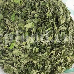 Buy dried nettles. Organic dried nettle leaves for sale. Buy dried nettle tea. Buy stinging nettles. Nettle seeds for sale. Buy stinging nettle tea. Nettle leaves for sale. Bulk stinging nettle. Urtica dioica leaf. Urtica urens buy online.