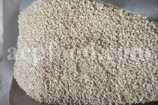 Bulk Sesame seeds. Buy Sesame seeds. Sesame seeds for sale. Brown Sesame seeds wholesale price. Buy Simsim seeds. Bulk roasted white Sesame seeds. Sesame price. Benni seed in bulk. Cost of Sesame seeds. Sesame seeds purchase. Organic Sesame seeds bulk. Sesame seed price. Buy Sesame seeds in bulk. Bulk Sesame. Buy Sesame. Purchase Sesame seeds. Benne seeds for sale. Buy Til seeds. Brown Sesame for sale. Sesame where to buy.