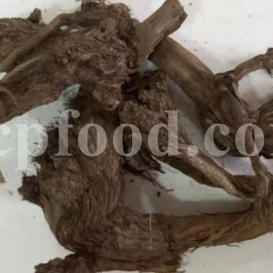 Burdock root wholesale. Buy edible burdock root. Bulk gobo root. Lappa root in bulk. Arctium lappa root purchase. Burdock root tea. Buy burdock root. Burdock root price. Purchase burdock root. Buy arctium lappa tea.