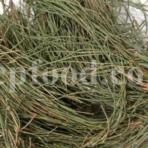 Buy ephedra. Ephedra price. Purchase ephedra. Ma huang for sale. Buy ephedra online. Buy ma huang. Buy ephedra powder. Buy ma huang online. Buy ma huang powder. Ephedra for sale online. Ephedra ma huang for sale. Ephedra order. Ma huang purchase. Purchase ma huang. Ma huang herb for sale. Ma huang tang buy.