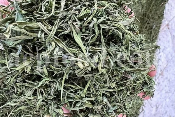Hyssop wholesale. Hyssopus officinalis dried leaves. Common hyssop dried flowers. Buy hyssop. Hyssop for sale. Hyssop price. Agastache for sale. Hyssop seeds for sale. Buy hyssop near me. Hyssop buy online.