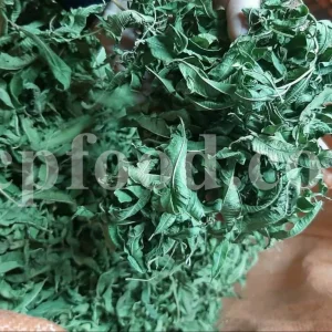 Buy Lemon Verbena. Lemon Verbena for sale. Vervain tea wholesale price. Bulk Lemon Verbena leaves. Cedron tea in bulk. Buy Aloysia citrodora tea. Lemon Beebrush tea for sale. Verbena for sale near me. Dried Verbena buy. Lemon Vervain wholesale price. Verbena dry leaves purchase.