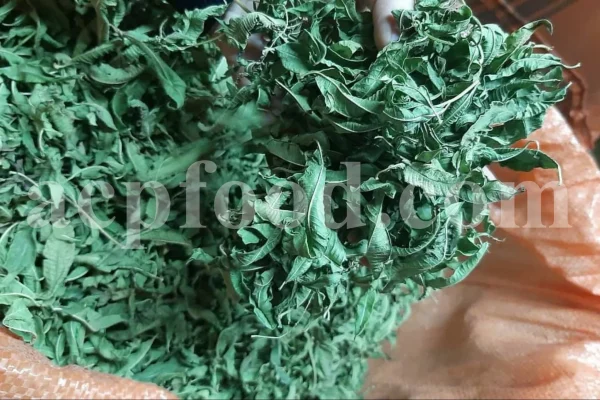 Buy Lemon Verbena. Lemon Verbena for sale. Vervain tea wholesale price. Bulk Lemon Verbena leaves. Cedron tea in bulk. Buy Aloysia citrodora tea. Lemon Beebrush tea for sale. Verbena for sale near me. Dried Verbena buy. Lemon Vervain wholesale price. Verbena dry leaves purchase.