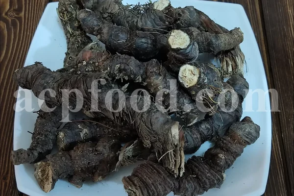 Buy orris root. Dried orris root wholesale. Ground orris root. Buy iris flower root. Orris iris root price. Orris rhizome for sale. Orris root price. Purchase orris root. Rare iris bulbs for sale. Iris bulbs for sale bulk. Buy iris rhizomes.