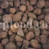 Black truffle for sale. Buy black winter truffles. Black truffle price. Buy black summer truffle. Black truffle mushroom. Whole truffle for sale. Truffle slices wholesale. Black truffle cost. Black truffle price per kg. Dried black truffles for sale. Black diamond truffle. Whole black truffle price. White truffle cost. Average cost of black truffles. Black mushroom truffles.