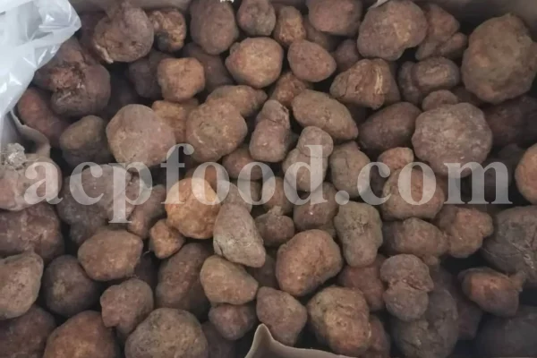 Black truffle for sale. Buy black winter truffles. Black truffle price. Buy black summer truffle. Black truffle mushroom. Whole truffle for sale. Truffle slices wholesale. Black truffle cost. Black truffle price per kg. Dried black truffles for sale. Black diamond truffle. Whole black truffle price. White truffle cost. Average cost of black truffles. Black mushroom truffles.