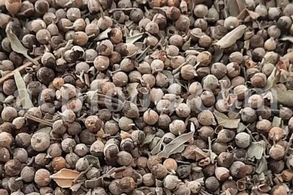 Chaste tree berries for sale. Chaste berries wholesale. Buy monk's pepper. Vitex berry in bulk. Chasteberry tea for sale. Bulk vitex chasteberry. Chasteberry vitex agnus castus for sale. Buy chaste berry fruit. Chaste tea for sale. Buy chaste herb tea. Chasteberry for sale. Buy chasteberry.
