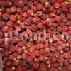 Chinese Lantern for sale. Buy Chinese Lantern. Physalis alkekengi wholesale price. Alkekengi fruit purchase. Alkekengi physalis for sale. Buy Bladder Cherry. Bulk Chinese Lantern Cherry. Ground Cherry Chinese Lantern purchase. Chinese Lantern seedling wholesale price. Physalis alkekengi seeds wholesale price.