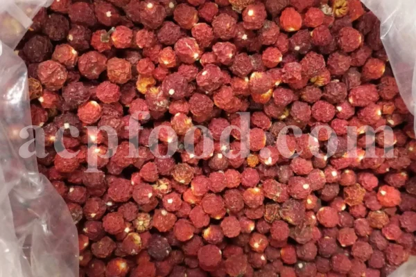 Chinese Lantern for sale. Buy Chinese Lantern. Physalis alkekengi wholesale price. Alkekengi fruit purchase. Alkekengi physalis for sale. Buy Bladder Cherry. Bulk Chinese Lantern Cherry. Ground Cherry Chinese Lantern purchase. Chinese Lantern seedling wholesale price. Physalis alkekengi seeds wholesale price.