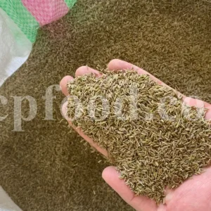 Whole Cumin seeds for sale. Bulk Cumin. Cumin seeds price. Buy Cumin seeds. Cumin seeds for sale. Cumin seeds near me. Bulk Cumin seeds. White Cumin seeds wholesale price. Buy black and white Cumin seeds. White Jeera price. Where to buy Cumin seed.