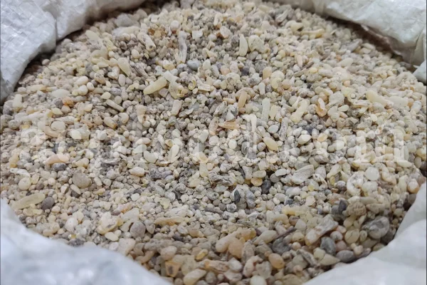 Cypress resin for sale. Buy cypress resin. Cypress gum wholesale price. Cupressus sempervirens gum purchase. Bulk Cupressus sempervirens resin.