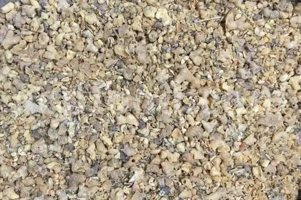 Euphorbia sap for sale. Bulk Euphorbia latex. Buy Euphorbia. Euphorbia milky sap purchase. Spurge for sale.