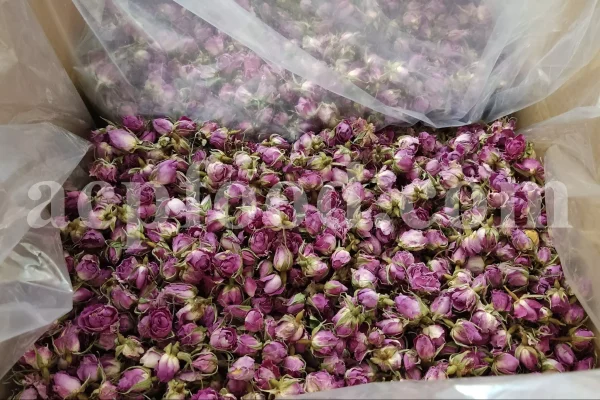 Venta de capullos y pétalos de rosa de Damasco aromáticos de alta calidad. Mayorista, proveedor, exportador y proveedor de capullos y pétalos de Rosa damascena a granel.