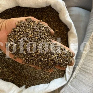 Milk Thistle seed for sale. Buy Milk Thistle seeds. Milk Thistle seeds wholesale price. Bulk Milk Thistle. Organic Milk Thistle seeds. Milk Thistle herbs for sale. Silybum marianum seeds purchase. Buy Blessed Thistle seeds. Cardo Mariano seeds in bulk. Thistle seedling in bulk. Silybum seeds buy. Holy Blessed milk thistle.
