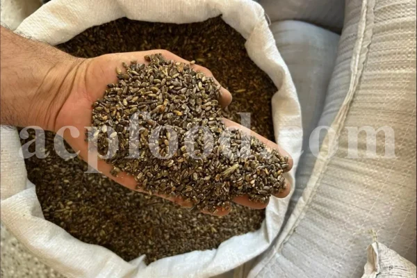 Milk Thistle seed for sale. Buy Milk Thistle seeds. Milk Thistle seeds wholesale price. Bulk Milk Thistle. Organic Milk Thistle seeds. Milk Thistle herbs for sale. Silybum marianum seeds purchase. Buy Blessed Thistle seeds. Cardo Mariano seeds in bulk. Thistle seedling in bulk. Silybum seeds buy. Holy Blessed milk thistle.