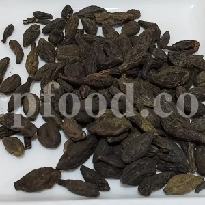 Chebulic myrobalan fruit for sale. Harad fruit wholesale. Myrobalan plum in bulk. Buy terminalia chebula fruit. Bulk terminalia fruit. Cherry plum myrobalan for sale. Emblic myrobalan price.