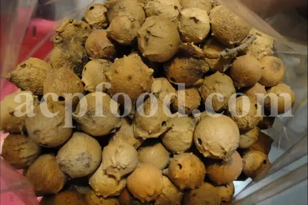 Oak galls wholesale. Acorn gall for sale. Buy acorn plum gall. Aleppo gall for sale. Aleppo oak galls in bulk. Apple gall price. Purchase apple oak gall. California oak galls for sale. Buy fuzzy oak gall. Bulk green oak gall. Oakgalls wholesale. Quercus infectoria gall price.