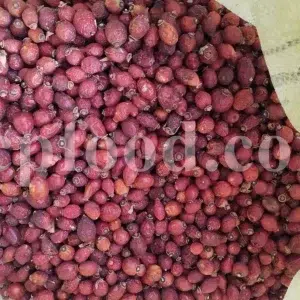 Buy rose hips. Bulk rose hips. Rose hip tea. Rose hip oil bulk. Buy rosehip tea. Buy rosehip powder. Rosehip fruit tea. Buy rosa canina. Buy dog rose. Dog rose petals. Rosa canina buy.