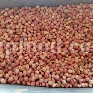 Sour cherries for sale. Buy sour cherries. Sour cherries price. Purchase sour cherries. Cherry sours bulk. Buy sour cherries near me. Sour cherries for sale near me. Tart cherries for sale near me. Morello cherry for sale. Buy pie cherry. Tart cherry wholesale. Amarelle cherry in bulk. Sour cherry wholesale. Bulk dried tart cherry. Buy dehydrated tart cherries. Dried red tart cherries for sale. Tart cherry price.