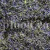 Viola odorata tea for sale. Buy sweet violet dried flowers. Common violet wholesale. English violet in bulk. Viola odorata for sale. Bulk sweet violet tea. Dried sweet violet flowers purchase. Common blue violet tea price.