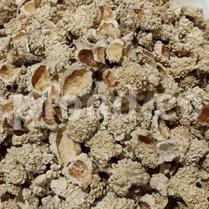 Echinops pungens manna for sale. Manna of Echinops in bulk. Globe Thistle manna wholesale price. Buy Trehala manna. Trehala Beetle Cocoon purchase.