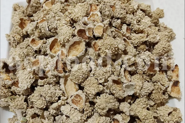 Echinops pungens manna for sale. Manna of Echinops in bulk. Globe Thistle manna wholesale price. Buy Trehala manna. Trehala Beetle Cocoon purchase.