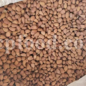 Prunus lycioides fruit for sale. Amygdalus lycioides fruit wholesale price. Buy mountain almond. Wild almond in bulk. Wild almond fruit puchase. Bulk wild almond seeds. Wild badam for sale.