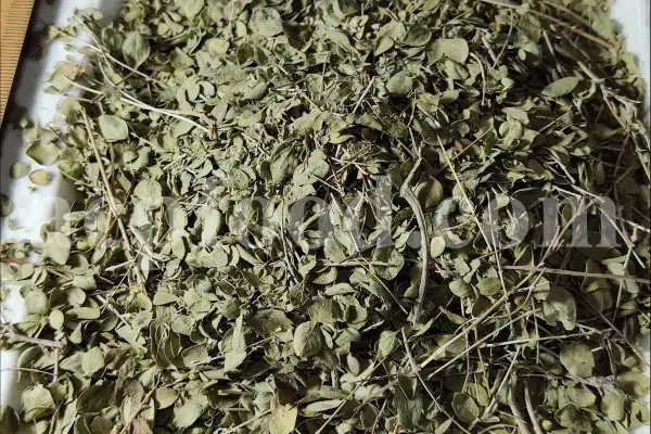 Shirazi Thyme for sale. Shirazi thyme wholesale price. Bulk Shirazi thyme. Shirazi thyme purchase. Zataria multiflora dried leaf in bulk. Z multiflora dried leaves wholesale price. Z multiflora dried leaves purchase. Buy zataria multiflora dried leaves.