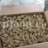 Red Sumac for sale. Buy brown Sumac. Dried Sumac wholesale price. Sumac order. Sumac powder price. Sicilian Sumac in bulk. Sumac Rhus coriaria purchase.