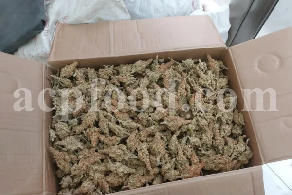 Red Sumac for sale. Buy brown Sumac. Dried Sumac wholesale price. Sumac order. Sumac powder price. Sicilian Sumac in bulk. Sumac Rhus coriaria purchase.