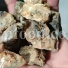 White Fasoukh for sale. Buy ferula communis plant resin. Giant fennel plant gum wholesale price.